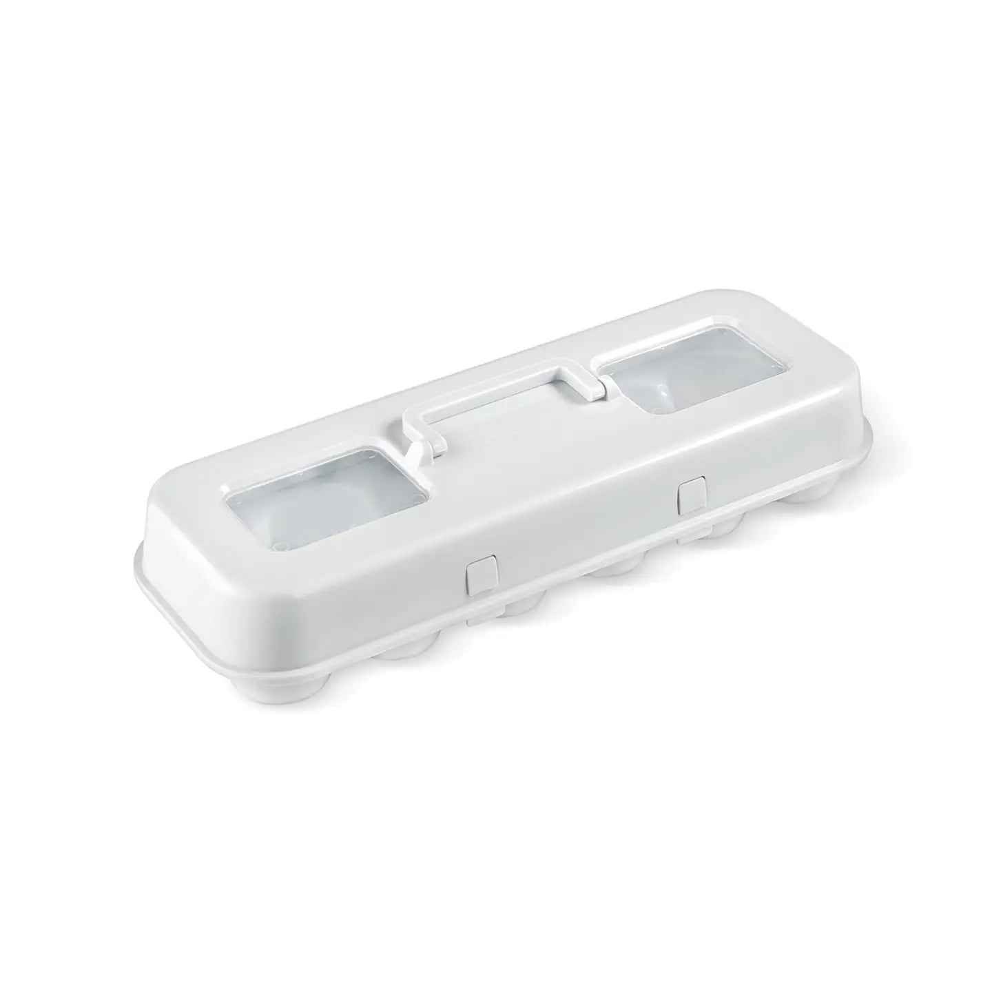Cupcake Carton